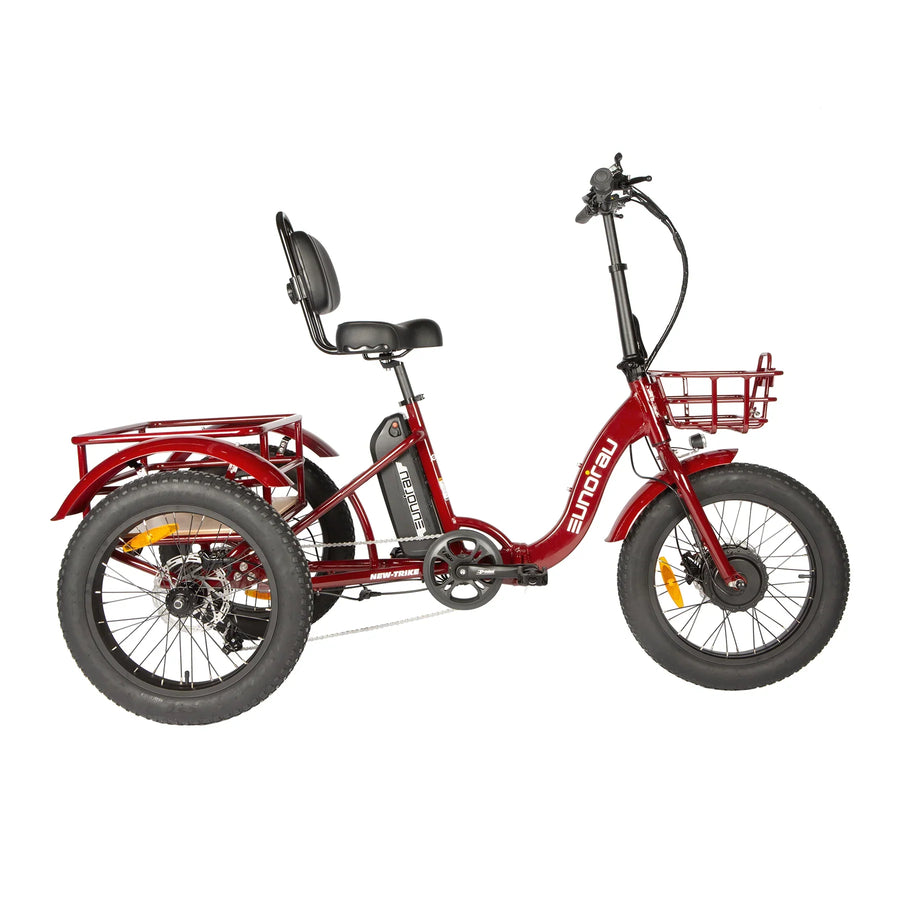 New-Trike 2.0